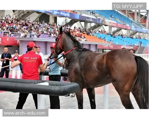 北京羽毛球队速度之争引发热议球迷与专家各执己见