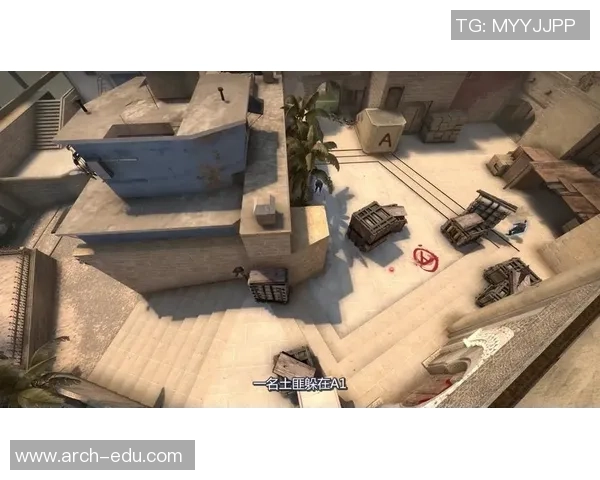 从零开始掌握CSGO团队配合技巧与战术全解析