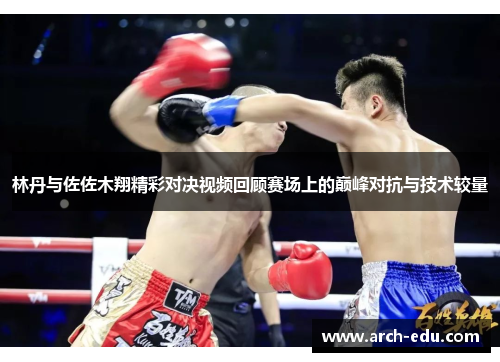 林丹与佐佐木翔精彩对决视频回顾赛场上的巅峰对抗与技术较量