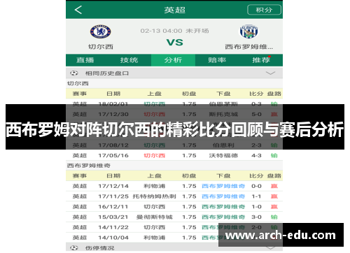 西布罗姆对阵切尔西的精彩比分回顾与赛后分析